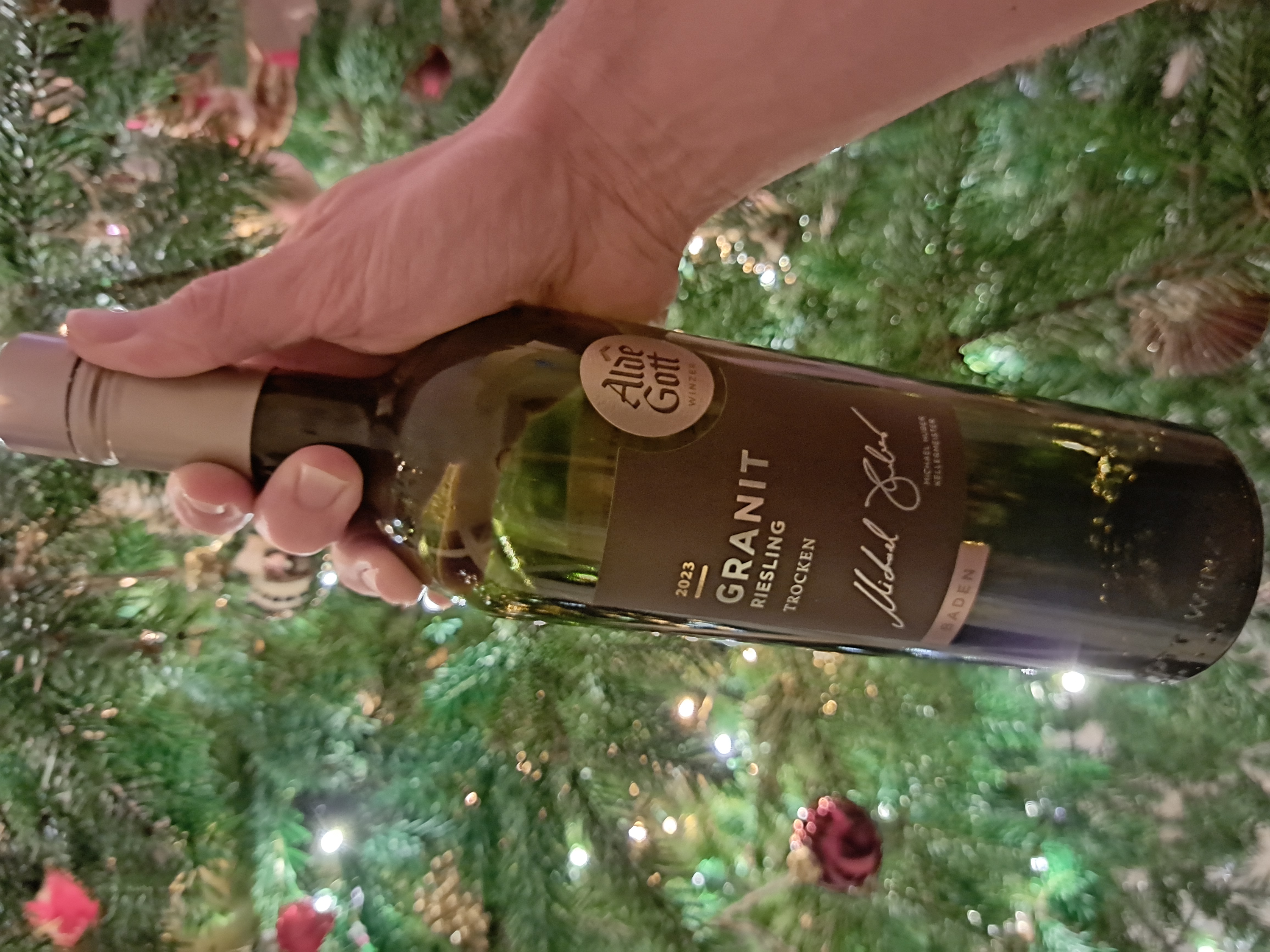 2023 Alde Gott Granit Riesling (Weitblick)